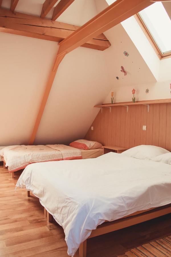 Apartma Soncek, On The Ski Slopes, Balcony, Private Parking Краньска Гора Экстерьер фото
