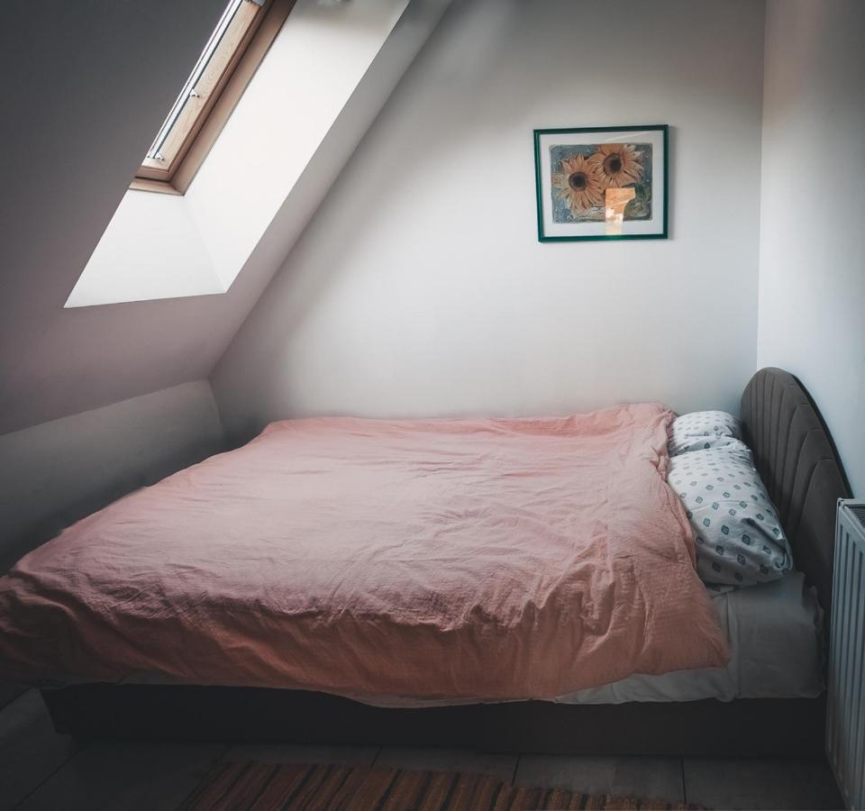 Apartma Soncek, On The Ski Slopes, Balcony, Private Parking Краньска Гора Экстерьер фото